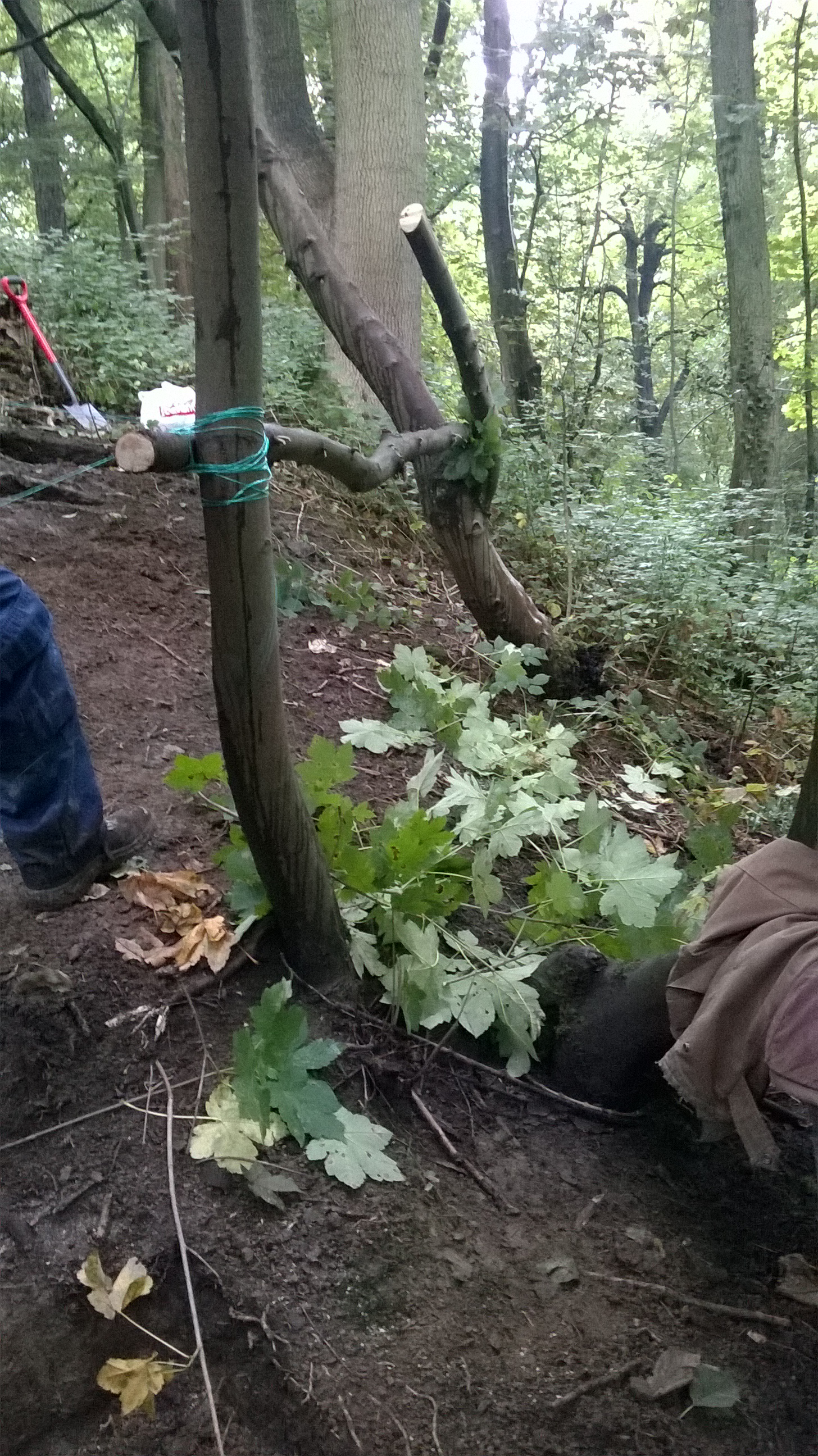 making use lumb10