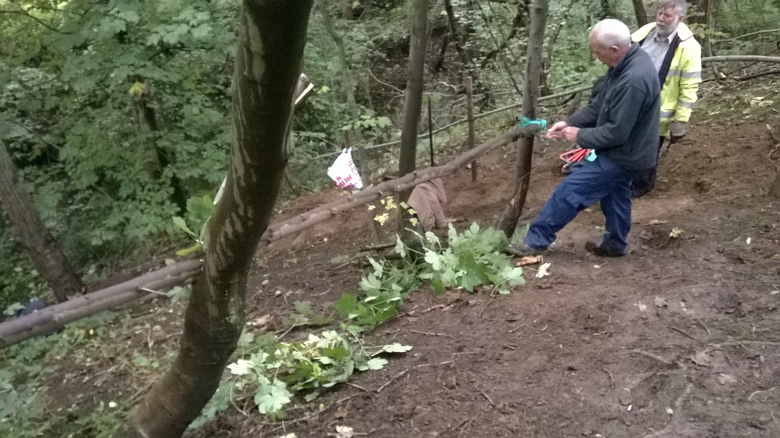 steep lumb11