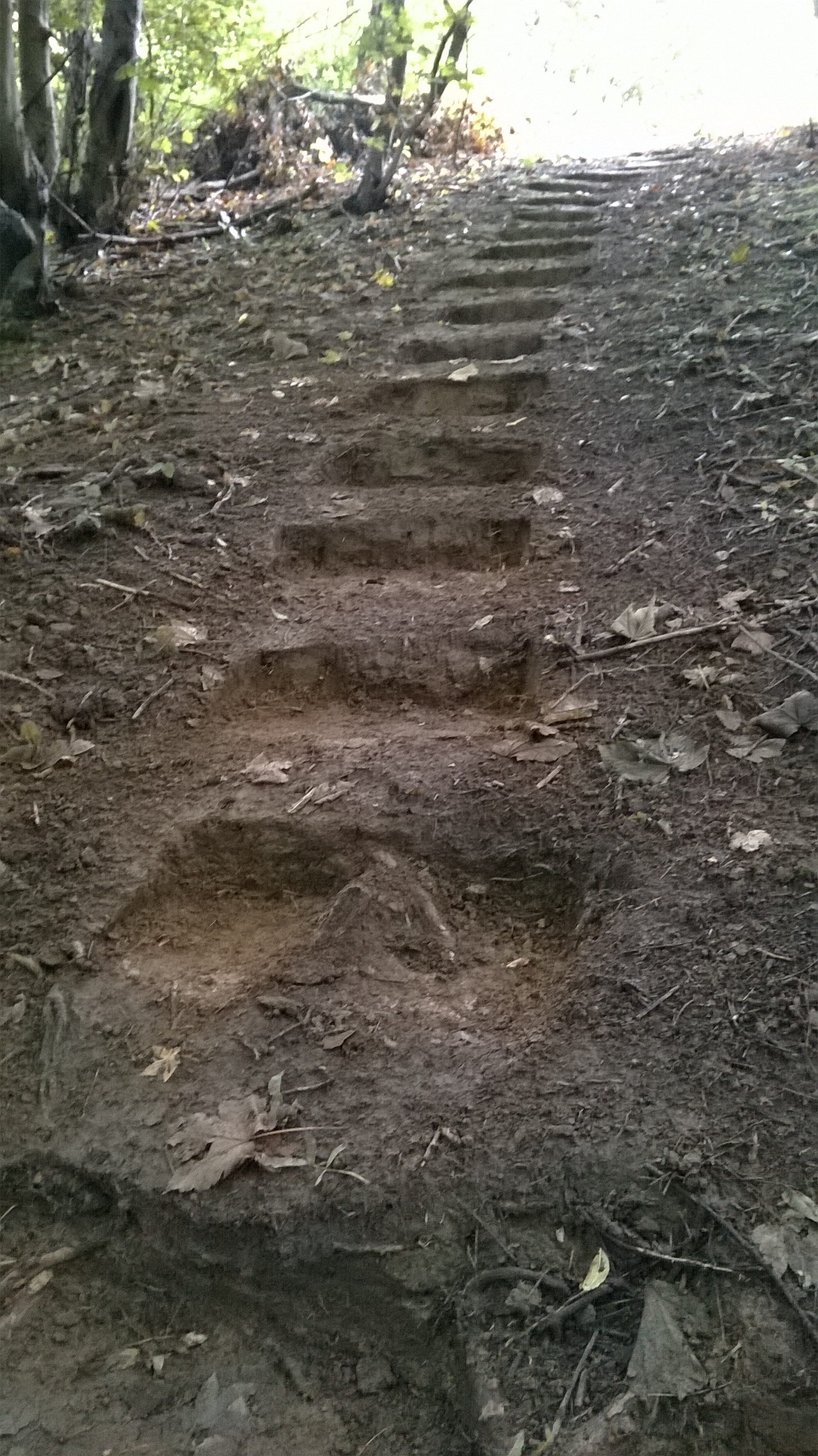steps lumb7