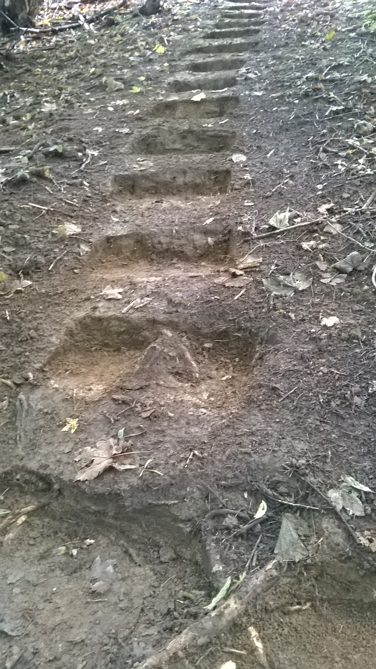 and more lumb8